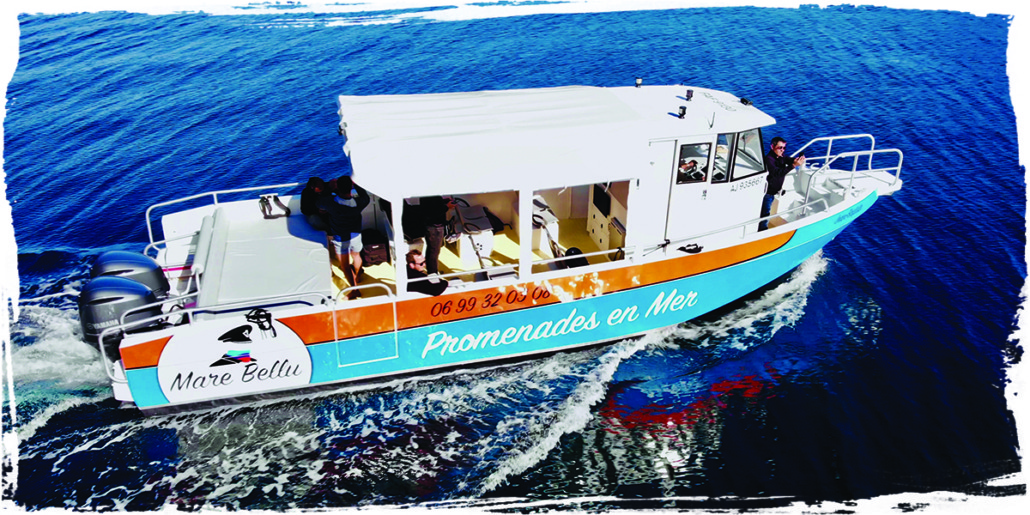 frame new boat