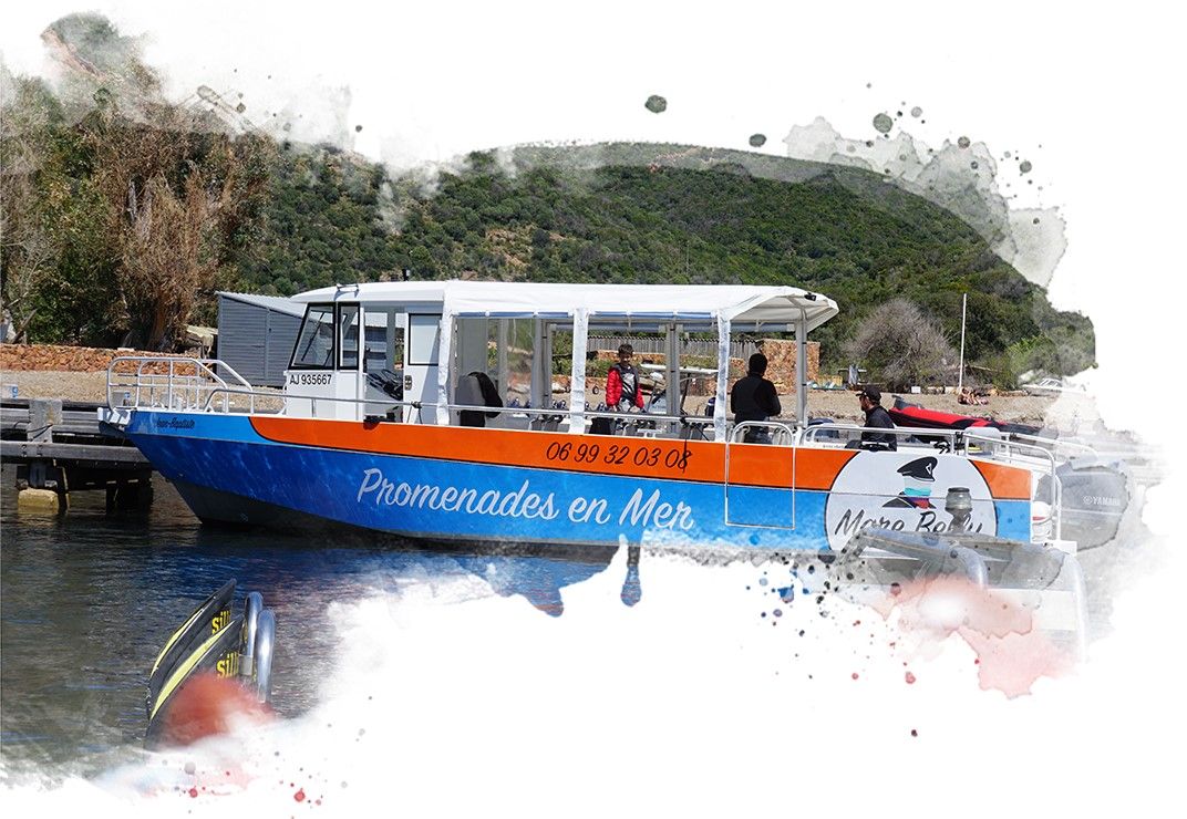 Privatisation Location et Bateau Taxi Mare Bellu Privatisation Location et Bateau Taxi Mare Bellu