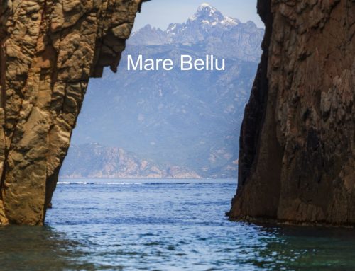 Nouveauté : Téléchargez votre pack photo souvenir !