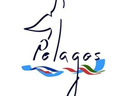 Mare Bellu, des visites sur un bateau Ambassadeur Pelagos