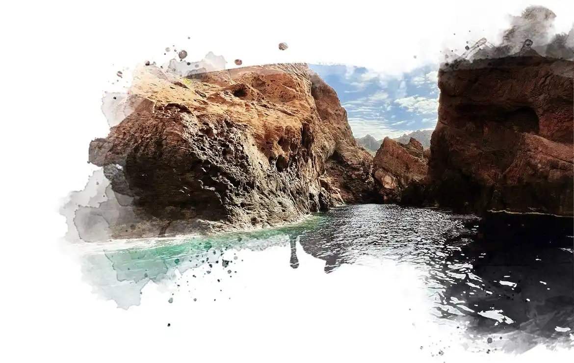 test-banner-scandola