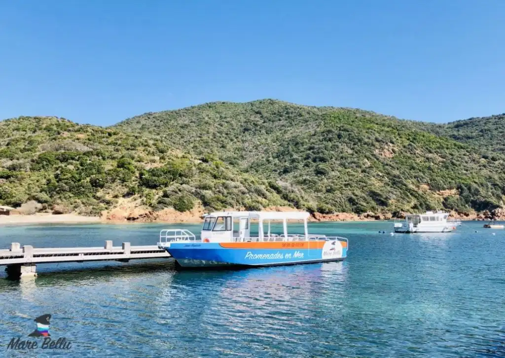 Nouveau-Bateau-a-Girolata