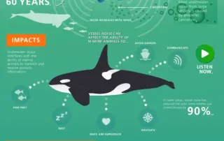 Nuisances sonores Mare Bellu Bateau Hybride Scandola