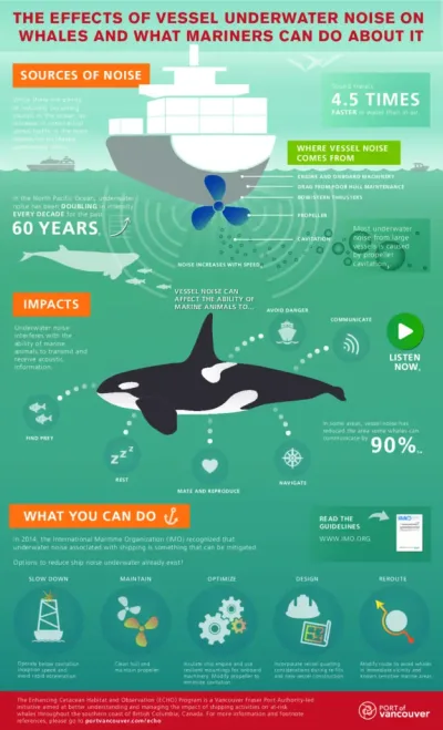 Nuisances sonores Mare Bellu Bateau Hybride Scandola