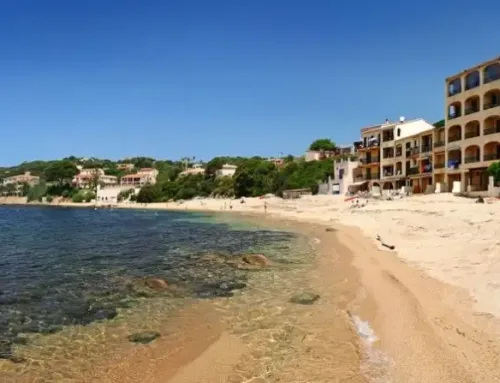 Promenades en mer au départ de Tiuccia
