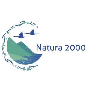 bandeau_cdr_site_web_3